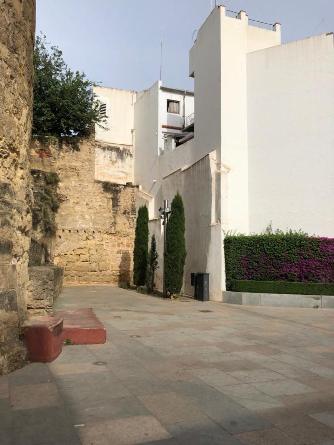 La Regaora Apartamento قرطبة المظهر الخارجي الصورة